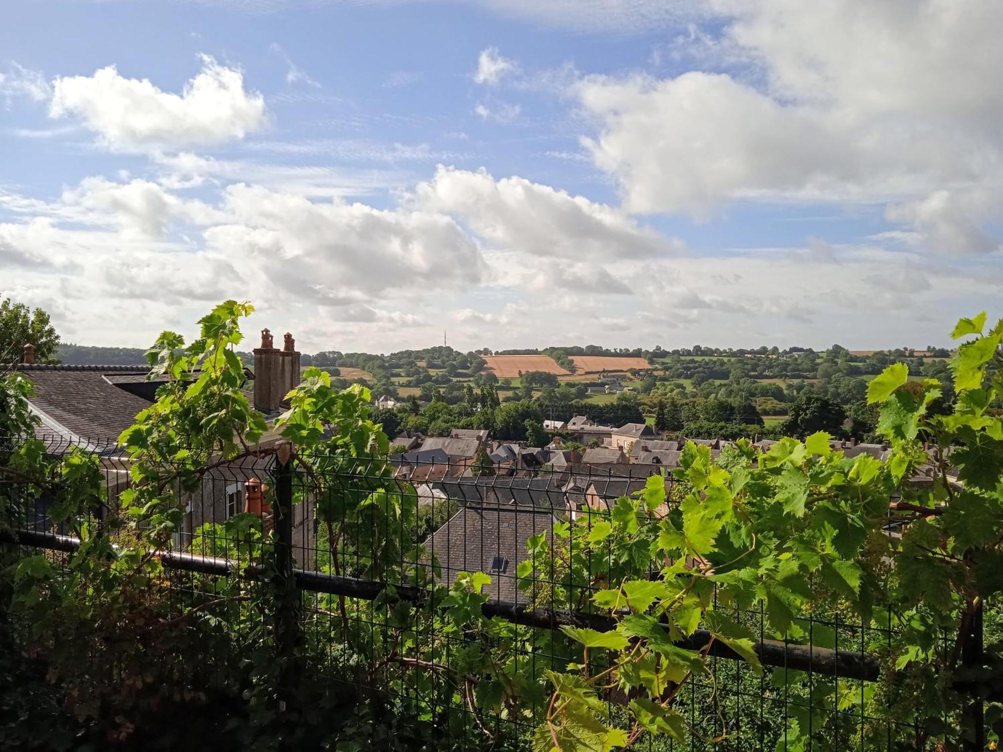 Charming Detached 2 Bedroom Ancient House In Medieval Quarter Of A Small Town In The Pays De La Loire, France Sillé-le-Guillaume Buitenkant foto
